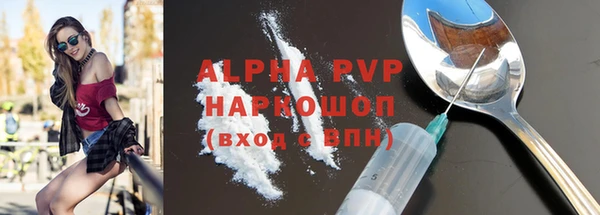 стафф Коряжма