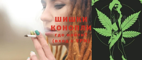 стафф Коряжма