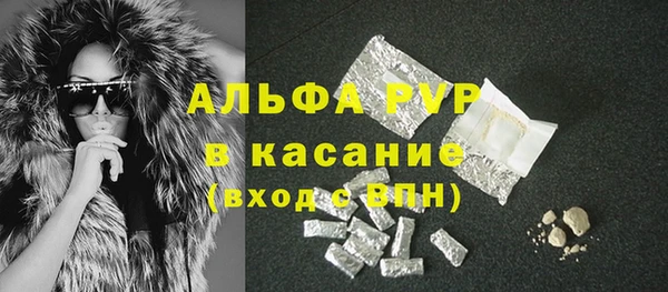 стафф Коряжма