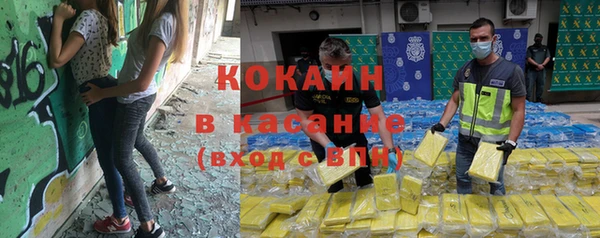 стафф Коряжма