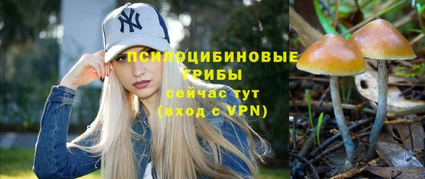 стафф Коряжма