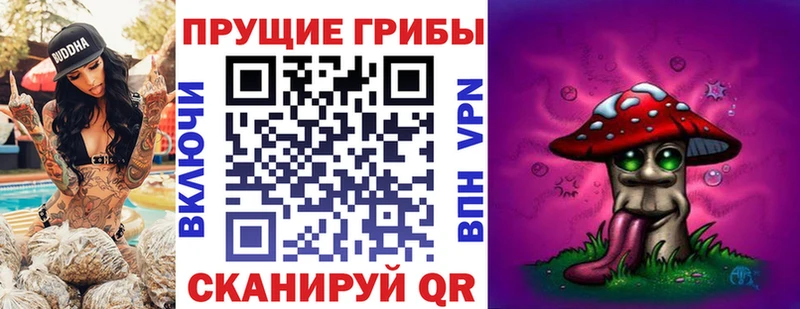 Галлюциногенные грибы ЛСД  Новый Уренгой 