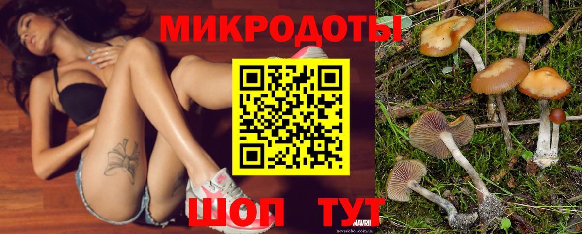 Псилоцибиновые грибы GOLDEN TEACHER Новый Уренгой