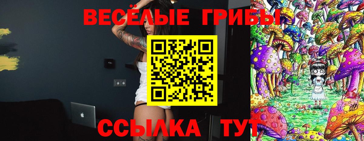 Cocaine  Новый Уренгой  LSD-25  Меф МЯУ МЯУ   Канабис  Вход с VPN  ГАШИШ 